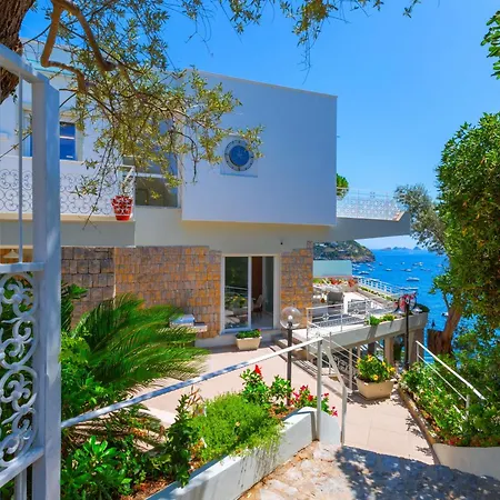 Elysian Villa *